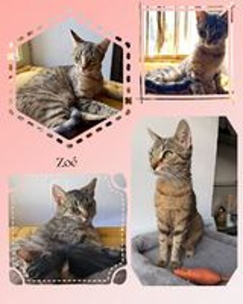   GENIEVRE et ZOE 