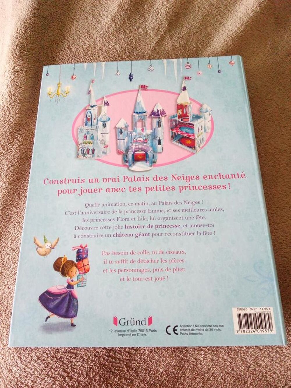 Livre Surprise au Palais des Neiges (Neuf) Livres et BD