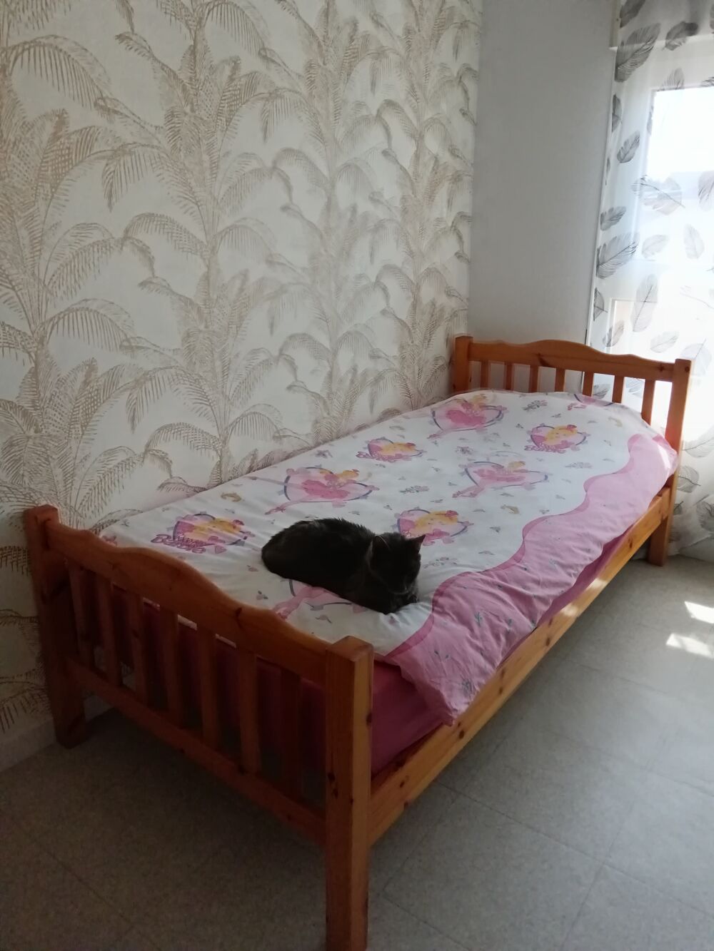 Lit Simple en Bois Massif Mobilier enfants