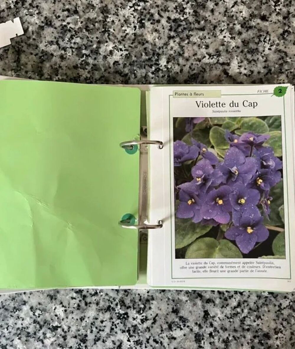 Soin &amp; Beaut&eacute; des Plantes. Classeur Jardinage Illustr&eacute; Livres et BD