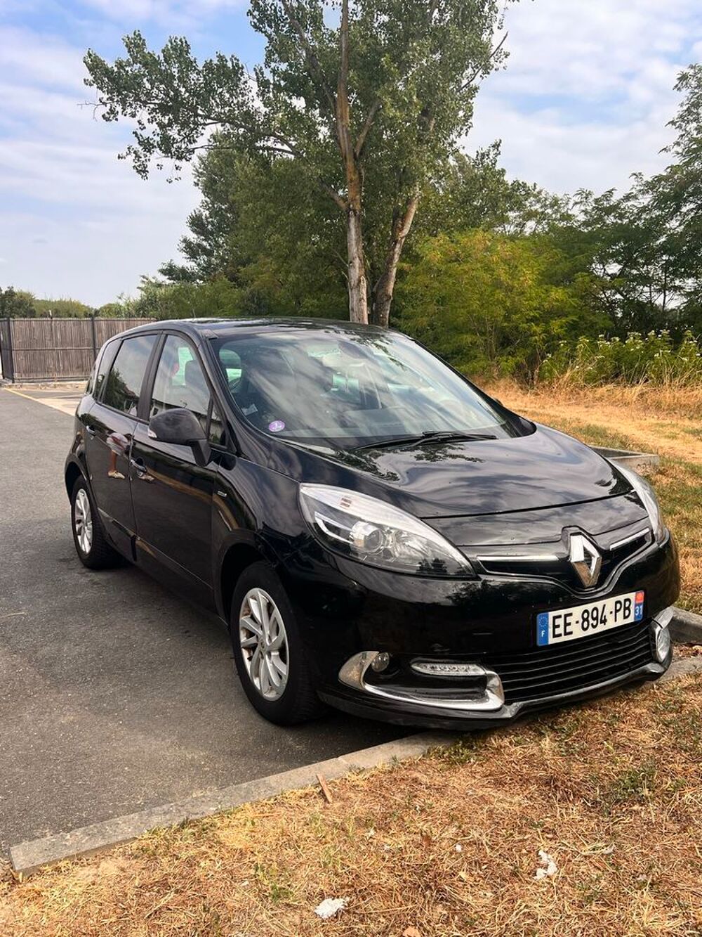Sc&eacute;nic M&eacute;gane 1.4e RTA 2015 occasion 31000 Toulouse