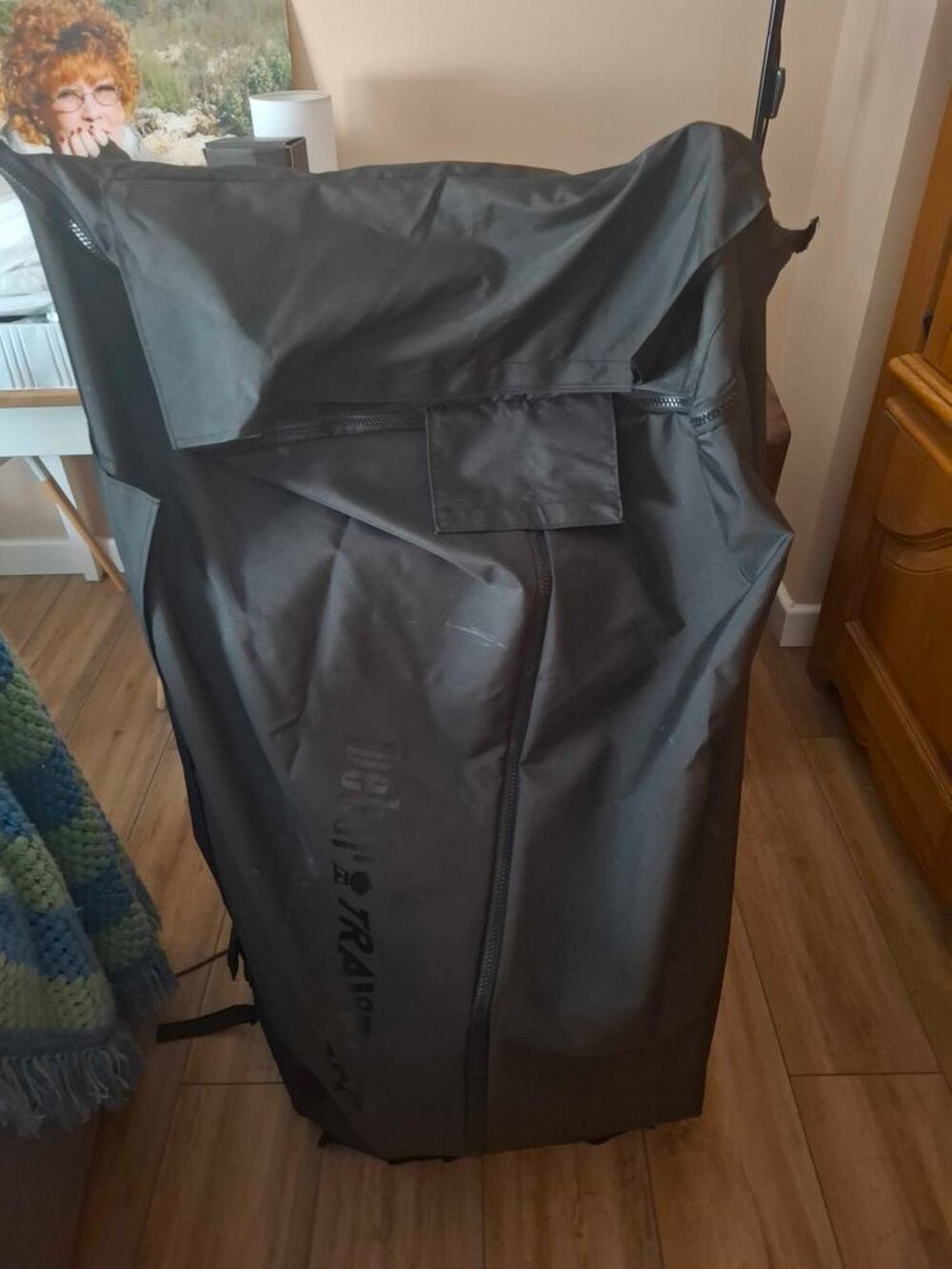 Barbecue Weber Traveler Cuisine