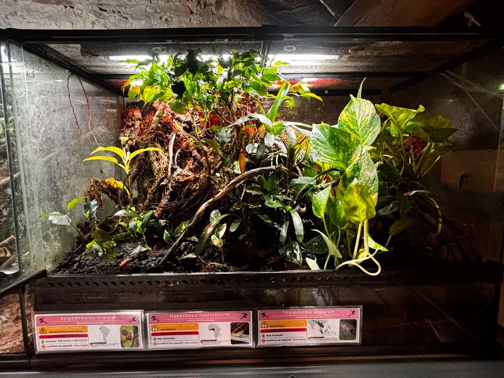   Terrarium exo terra 90/45/60 