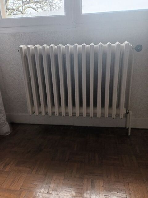 RADIATEURS EN FONTE 50 Pujols (47)
