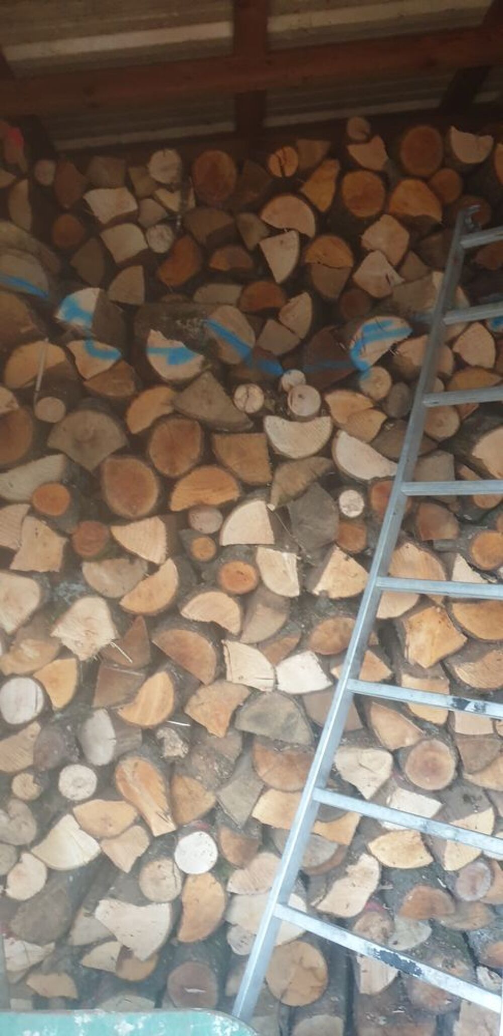 Vand bois couper en 50cm Jardin