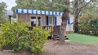 Location  Mobile Home 