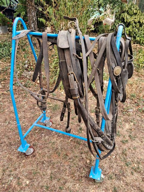 Carriole avec harnais 1150 Pressigny (79)