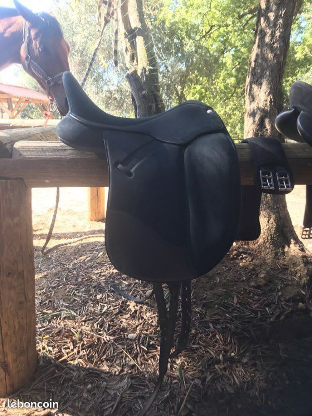Selle dressage Wintec Isabell Werth Cair 16,5
Sports