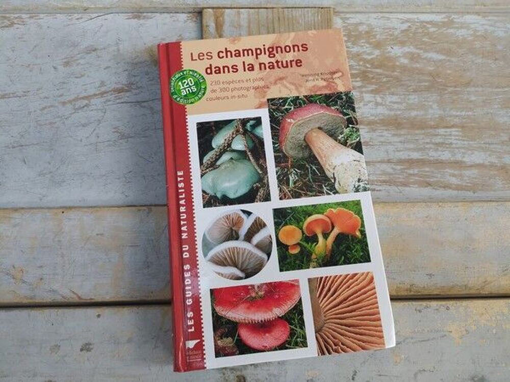 Livre Delachaux et Niestl&eacute; Les Champignons dans la Nature 
Livres et BD