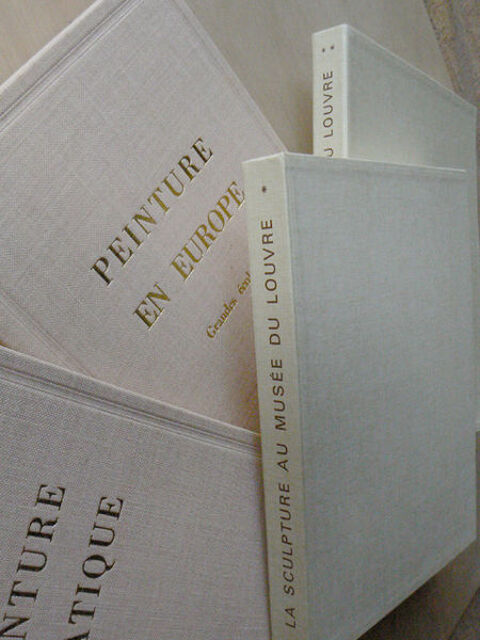3 grands livres Peinture LOUVRE état neuf 63 Saint-Clair-sur-Galaure (38)