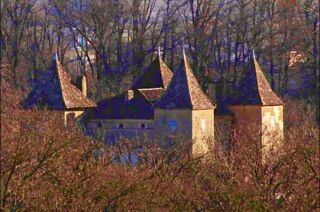  Propri�t�/ch�teau � vendre 12 pi�ces 385 m�