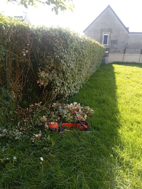 Bonjour je propose mes services pour l'entretien jardin 0 14000 Caen