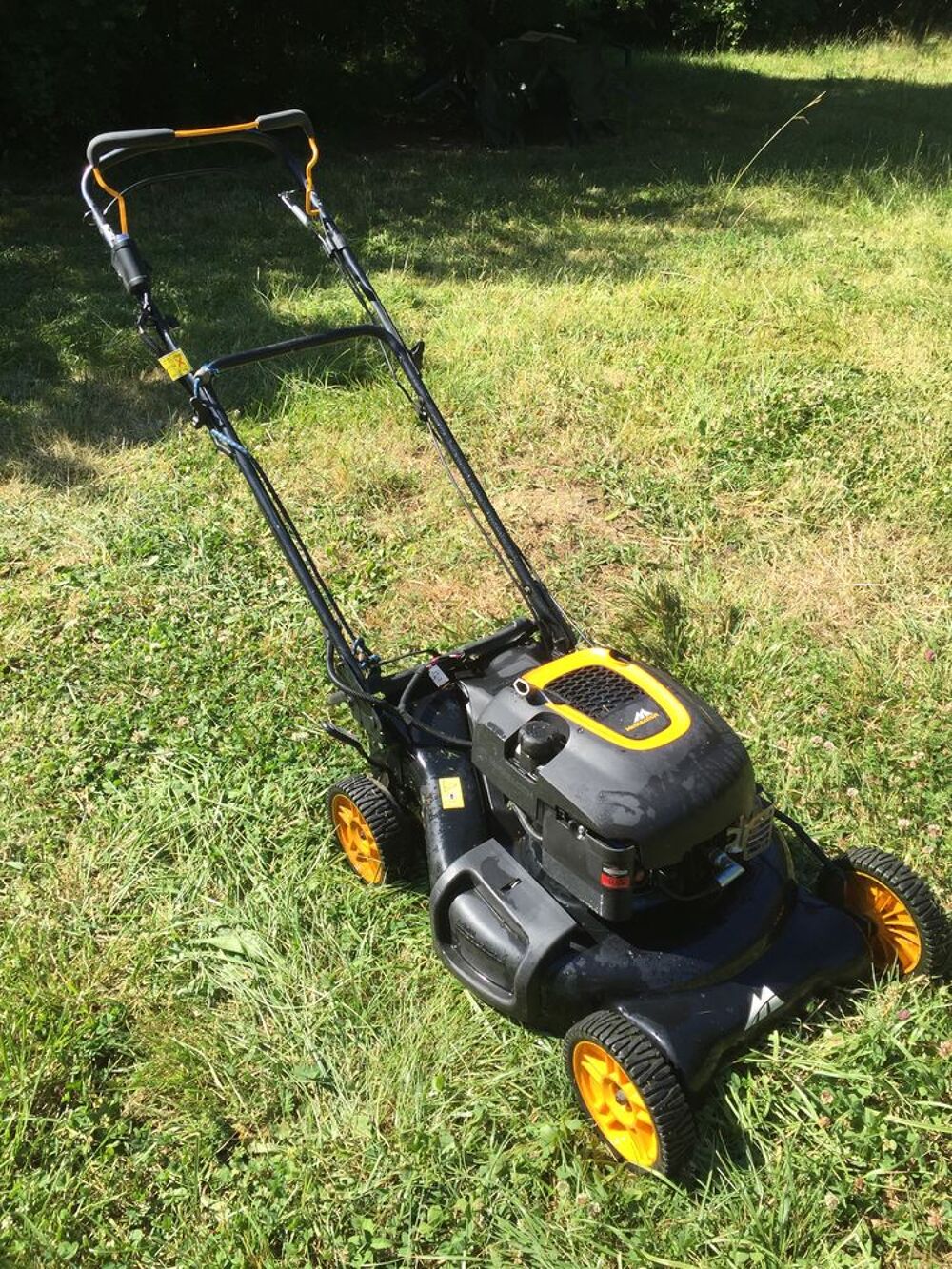 TONDEUSE THERMIQUE DEMARRAGE ELECTRIQUE Jardin
