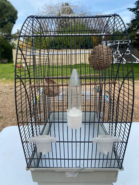 Cage à oiseaux 53 Mittainvilliers (28)