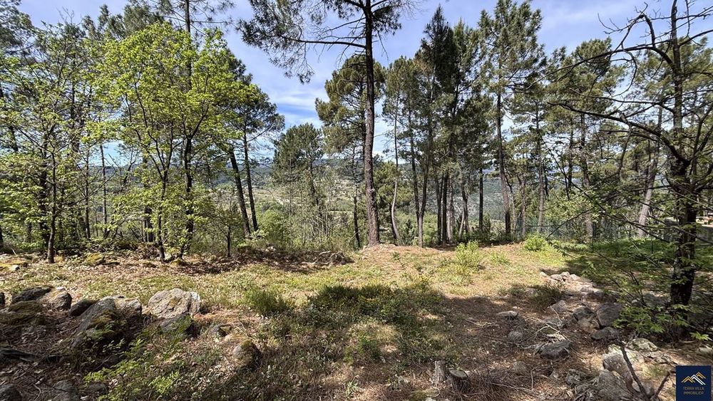 Vente Maison Chalet  - 35m ² Joyeuse