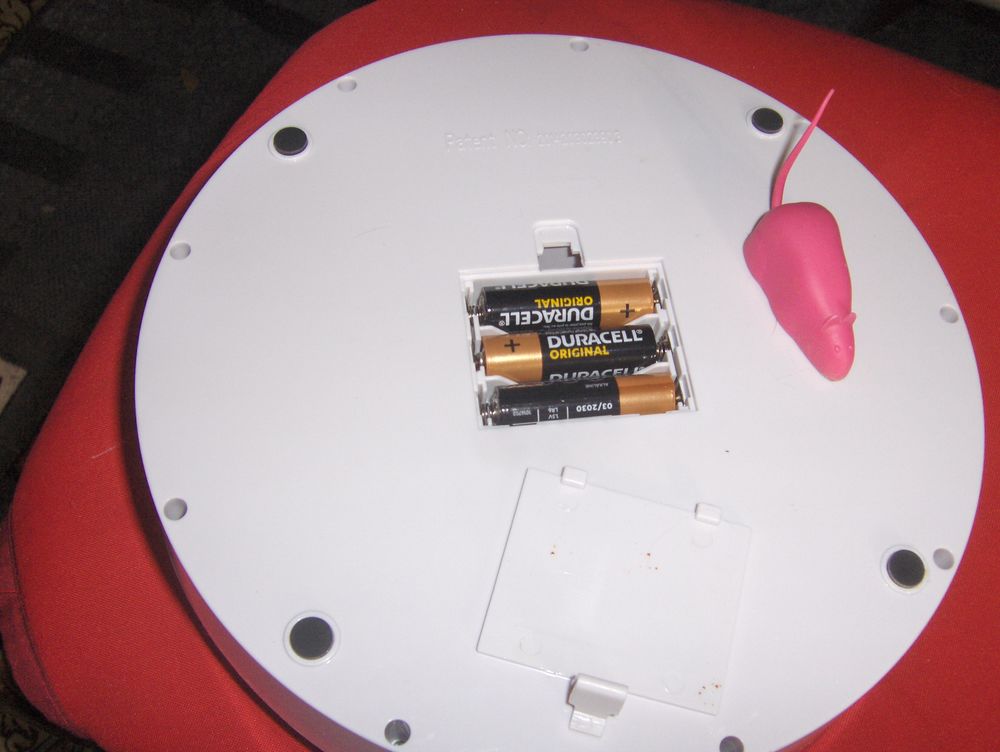 Jeu pour chat, plateau rond 24 cm, &eacute;volution d'une souris su Bricolage
