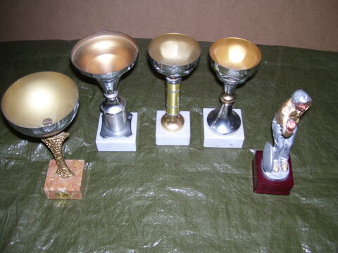 5 Coupes Sport Hauteur 20 cm 20 Estres-Saint-Denis (60)