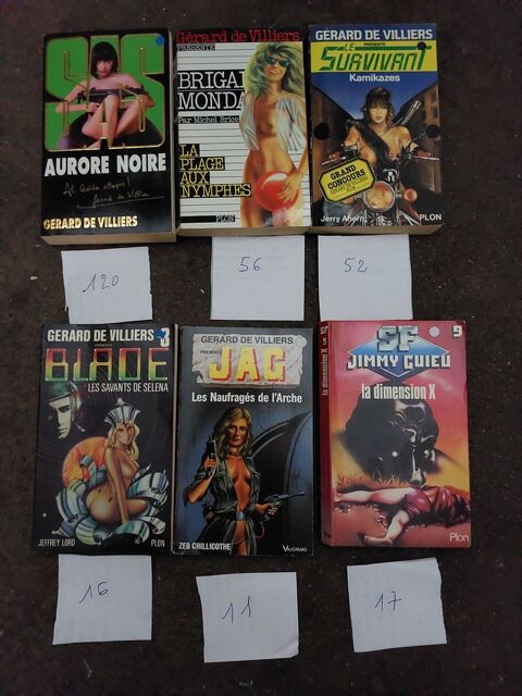 livres de poche 10 Cholet (49)