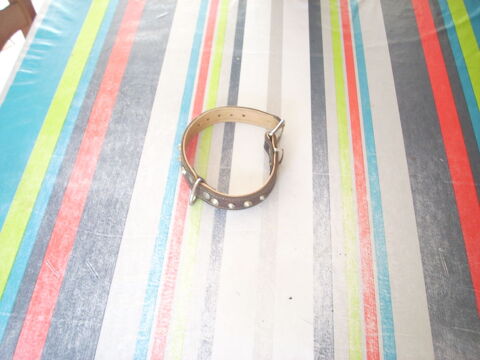 coller cuir clout&eacute;s pour chiot  ou petit chien 20 95220 Herblay