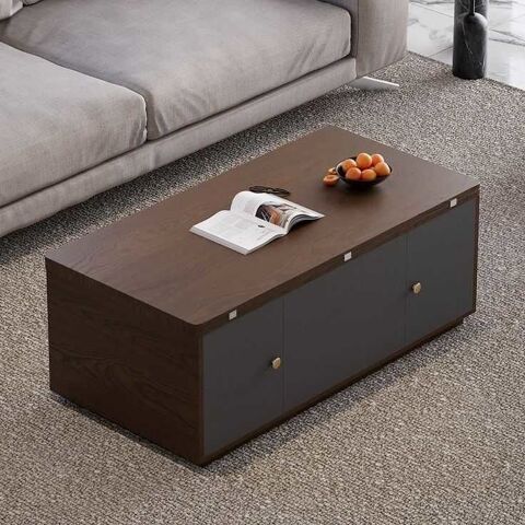 Table Basse Multifonctionnel avec Rangement - 330 Rouen (76)