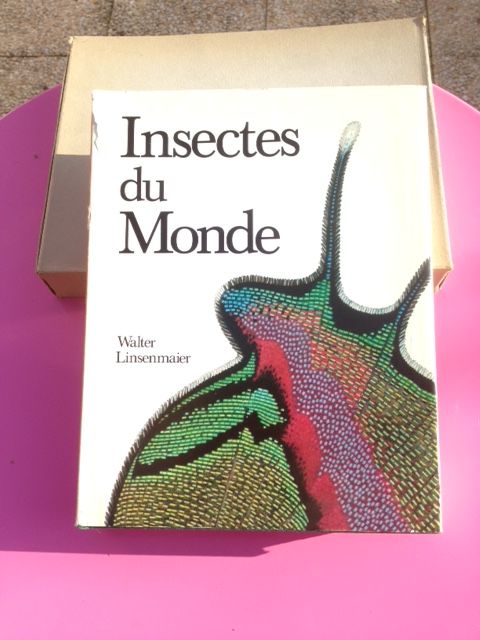 Insectes du monde 40 Antony (92)