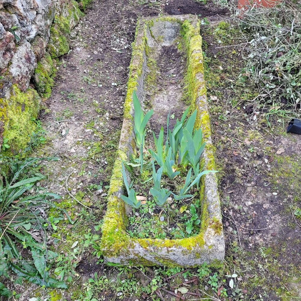 AUGE ANCIENNE PIERRE CALCAIRE Jardin