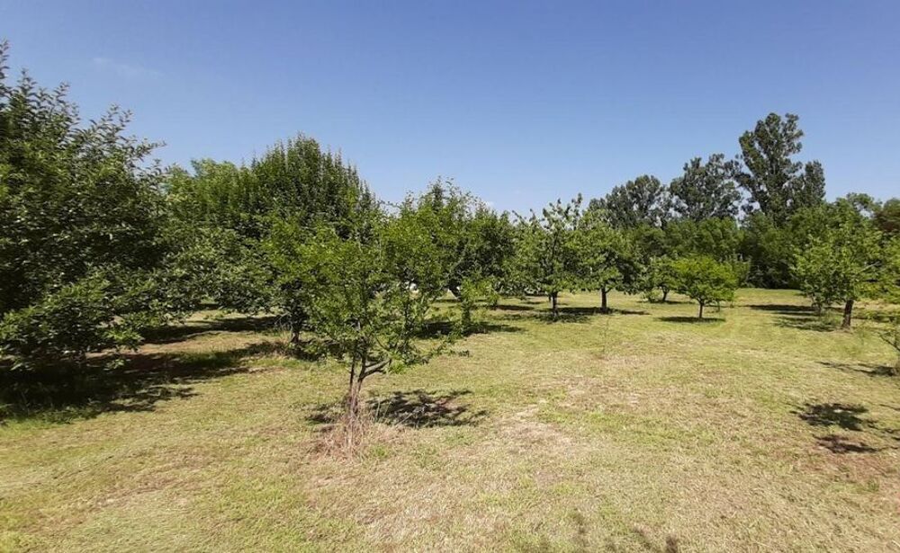 Vente Terrain Deux terrains à construire jumelés sur 7321 m2 Bragassargues