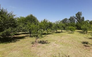  Terrain à vendre 7321 m² Bragassargues