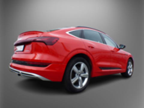E-TRON e-tron 50 quattro 313 ch S line 2021 occasion 67100 Strasbourg