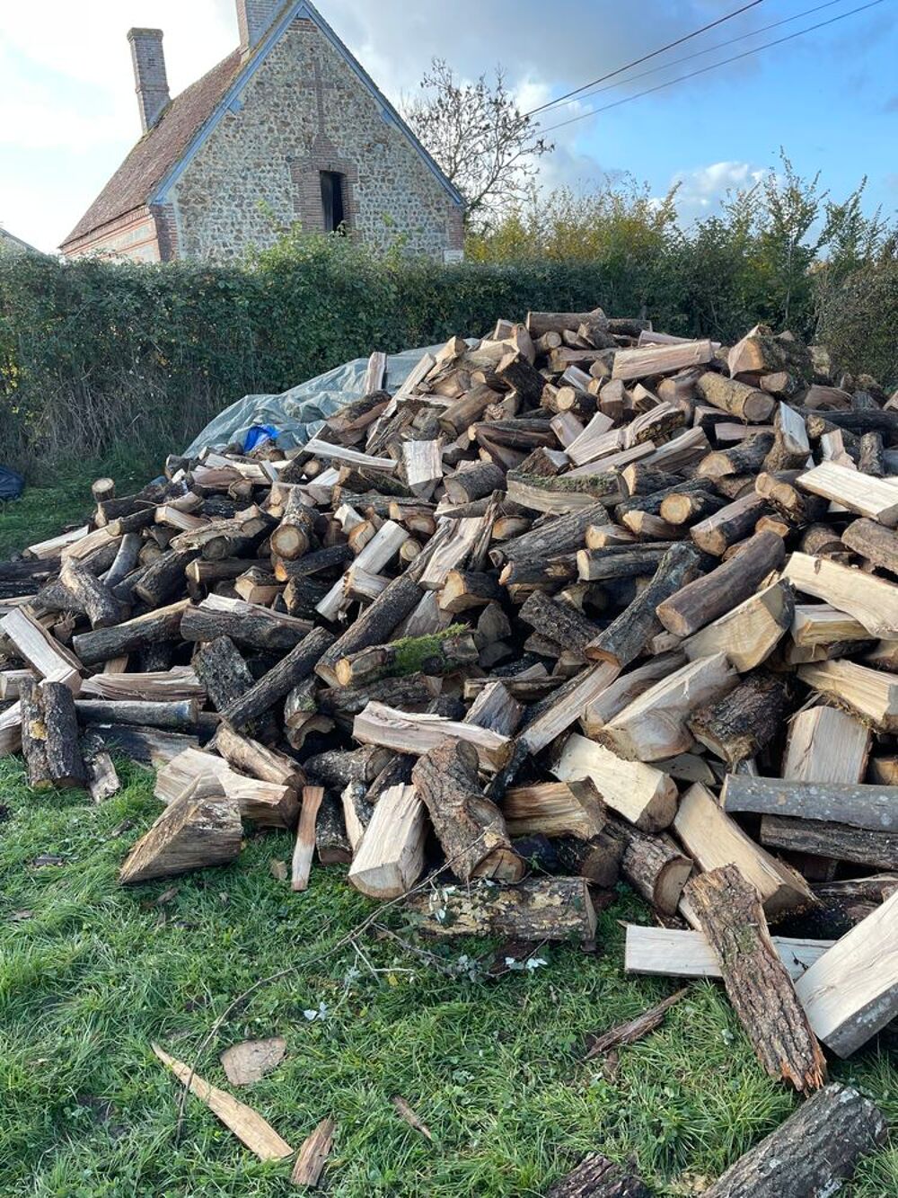 Bois de chauffage sec Jardin