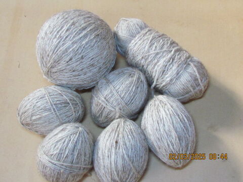 Laine grise 430 2 Tignieu-Jameyzieu (38)