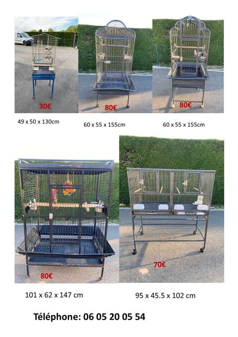 Cages pour Perroquets 80 33124 Auros
