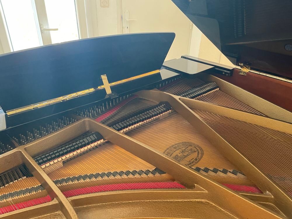 PIANO A QUEUE C.SAUTER Instruments de musique