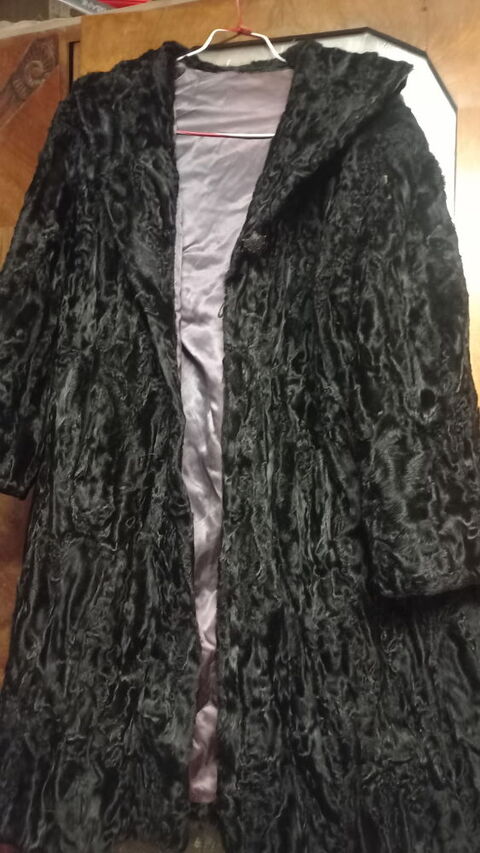 Manteau vison 500 La Goulafrire (27)