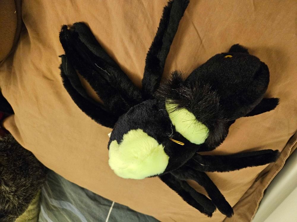 peluche araign&eacute;e Jeux / jouets