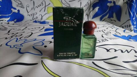 MINIATURE DE PARFUM 4 Trouy (18)