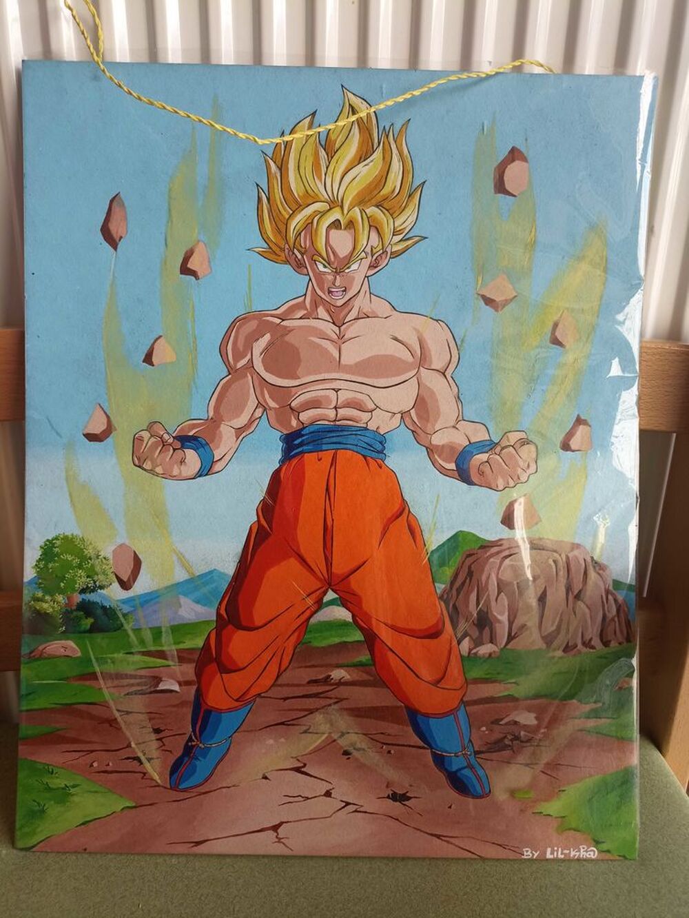 tableau d&eacute;co dragon ball z, Songoku Décoration