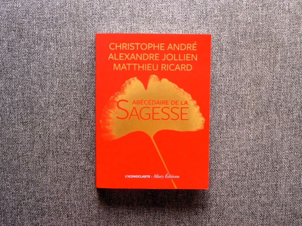 Ab&eacute;c&eacute;daire de la Sagesse-Christophe Andr&eacute;- Matthieu Ricard Livres et BD