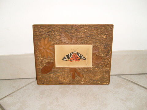 Papillon 20 Varades (44)