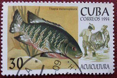  timbre � collection CUBA 1 Pontoise (95)