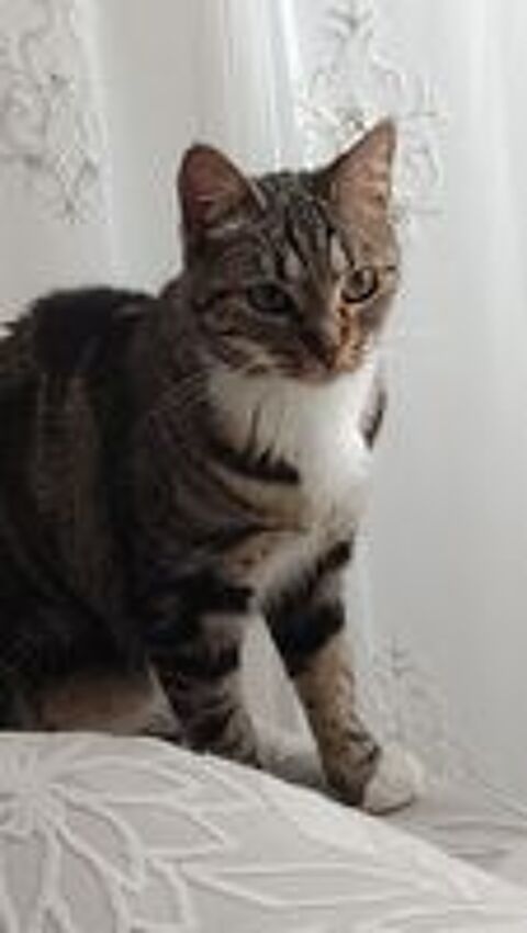   Prunelle recherche ses adoptants  