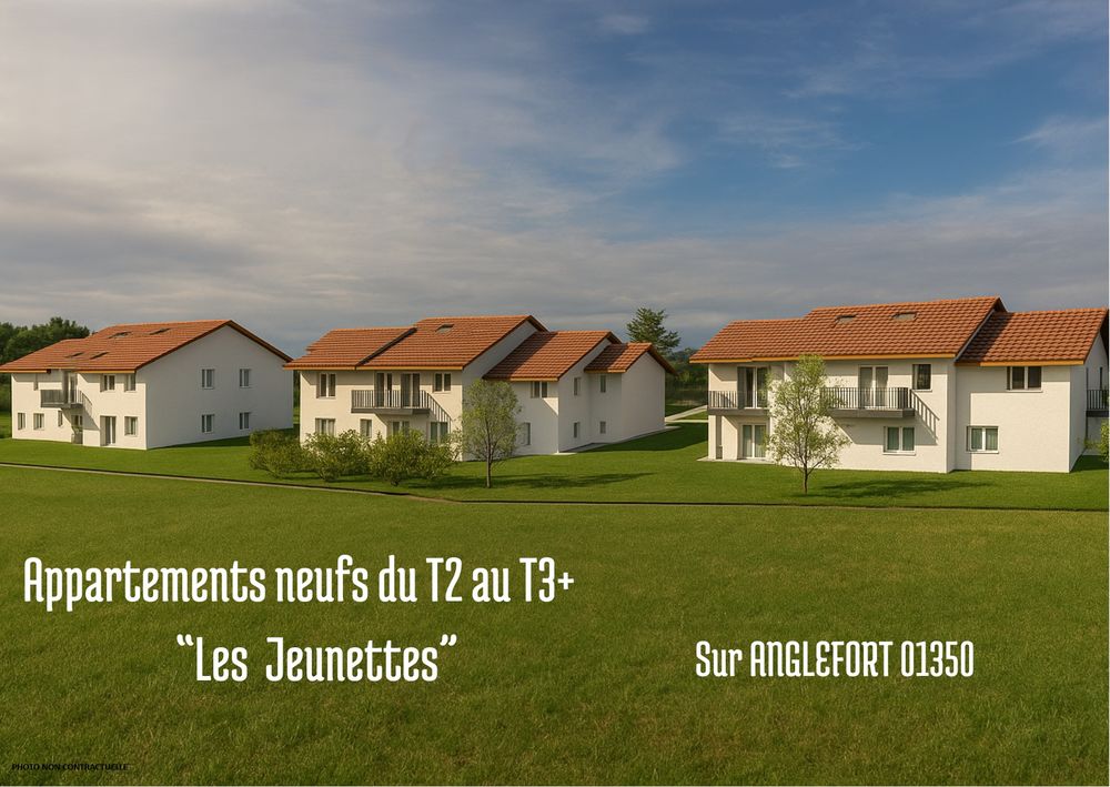 Vente Appartement AGREABLE T2 AU REZ DE CHAUSSEE + GARAGE Anglefort