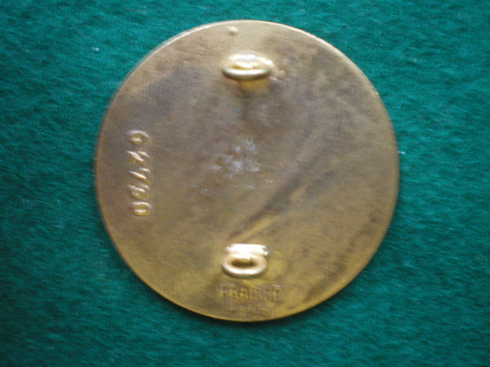 Insigne de Sant&eacute; - Service de Sant&eacute; Antilles Guyane. 