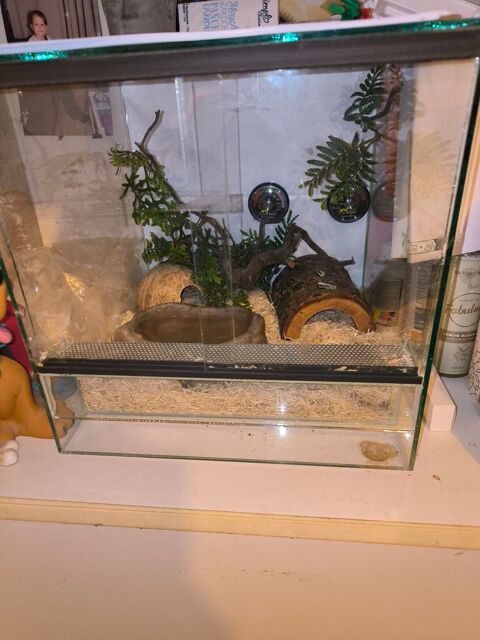 Terra 30x30x30 et son occupants 50 30000 N�mes