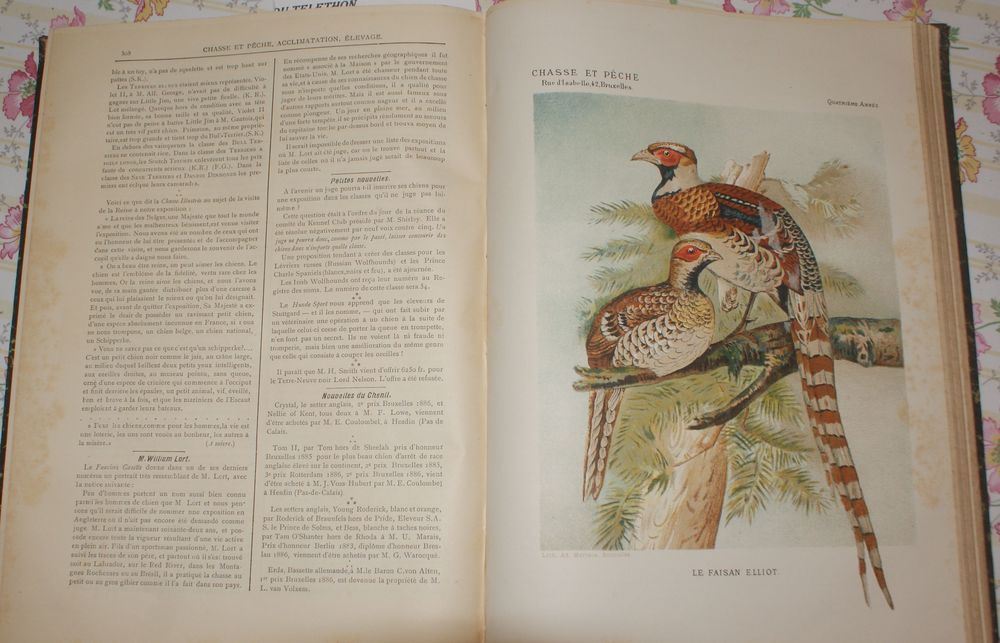 Chasse et p&ecirc;che 1885/86 Livres et BD