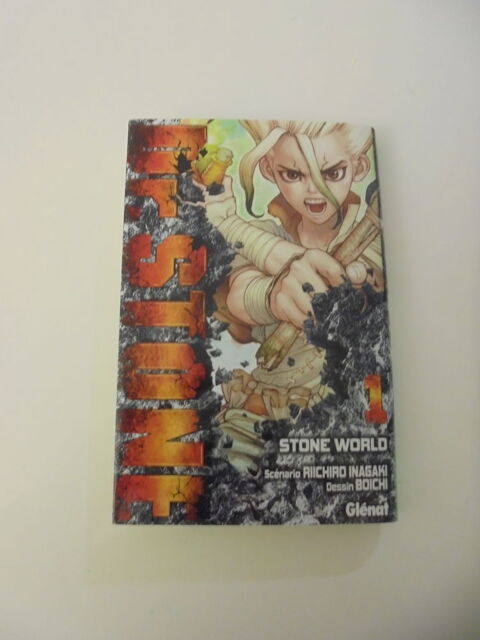 Dr Stone - 1 Stone World (108) 3 Tours (37)