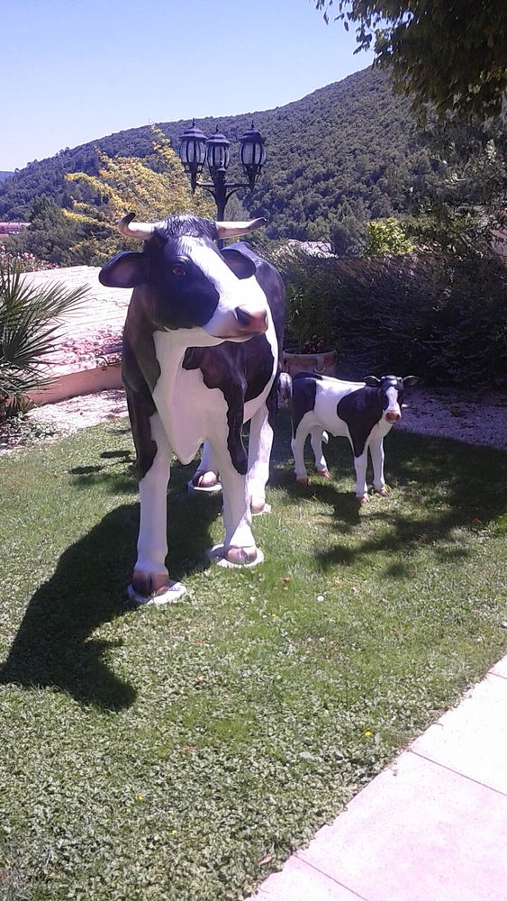 vaches et son veau Jardin