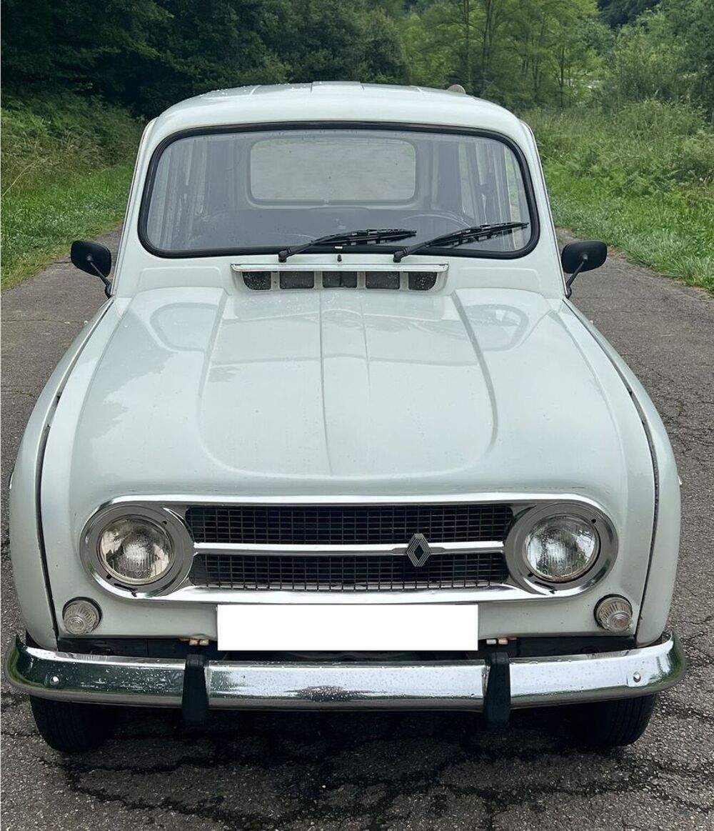 Divers 4l 1973 occasion 65000 Tarbes