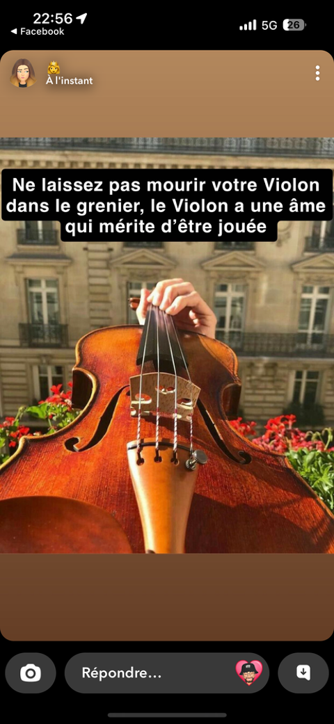 Bonjour je recherche Violon ou Violoncelle 500€ min? 500 Albi (81)
