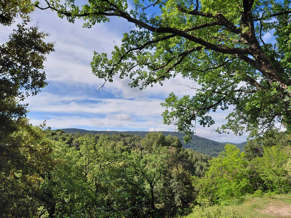 Vente Maison Bastidon provençal du XVIII? siècle au c?ur de 1,4 hectare Bargemon